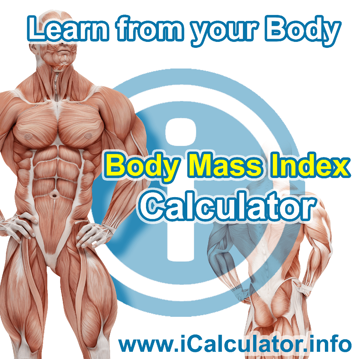 BMI Calculator. This image shows the BMI formula for the BMI Calculator
